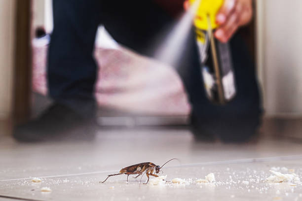Best Flea Control Services  in Cecil Bishop, PA