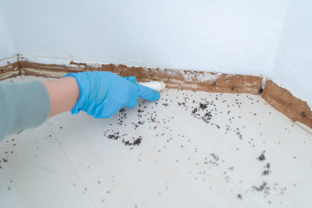 Best Affordable Pest Control Services  in Cecil Bishop, PA